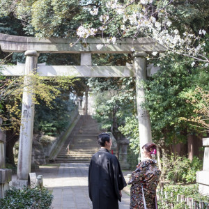 氷川神社|569132さんの赤坂 氷川神社の写真(1087220)