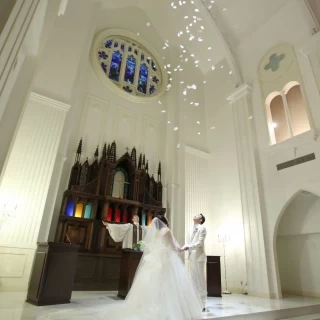 天使からの祝福の羽