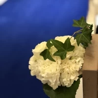 お花