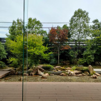 披露宴会場から見た日本庭園。