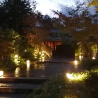 夜の庭