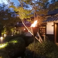 夜の庭