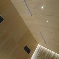 チャペル天井