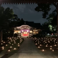 素敵な夜景です。