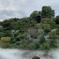 雲海が広がるお庭