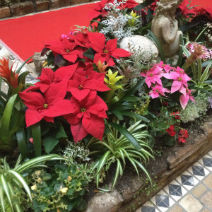 庭には赤い花々が|569812さんのホテルモントレ札幌（ウエディング取扱終了）の写真(1309445)