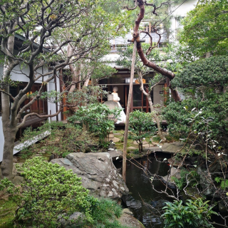 日本庭園を思わせる素敵な中庭です。四季の変化があるそうです。