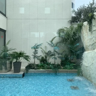 写真映えもします