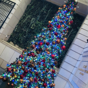 クリスマスには特大のクリスマスツリーがあります。|570062さんの神戸セントモルガン教会の写真(1094991)