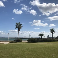 緑と青空のコントラストが最高でした♪