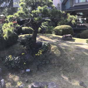 伝統ある庭園♪|570786さんのART HOTEL NEW  TAGAWA(アートホテルニュータガワ)の写真(1118834)