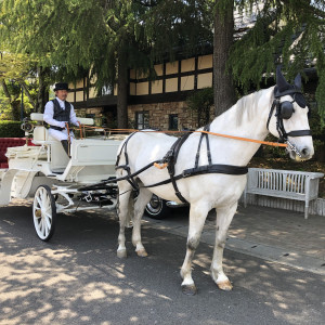 馬車がお出迎えしてくれました|571099さんのザ・グリーンカーメル（The Green Carmel）の写真(1116493)