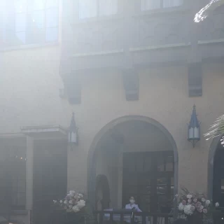 ガーデンの様子