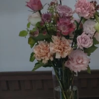 ウェルカムスペースのお花