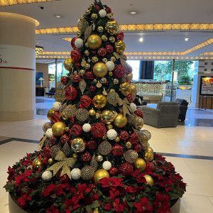 クリスマスツリーがとても綺麗だった。|571931さんの帝国ホテル 大阪の写真(1339951)