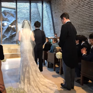綺麗な自然光
