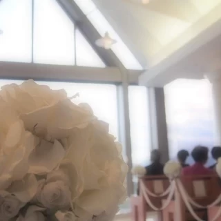 自然光が柔らかく降り注ぎます