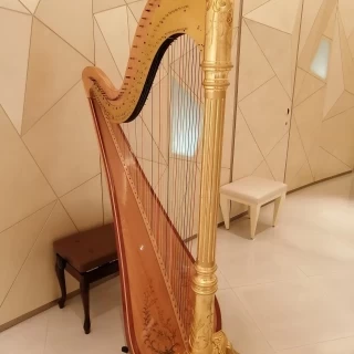ハープは生演奏だそうです