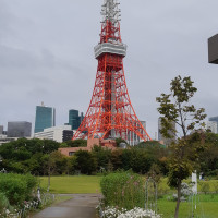 チャペル横のガーデンから見える東京タワー