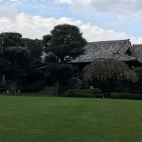 一年中楽しみる天然芝生