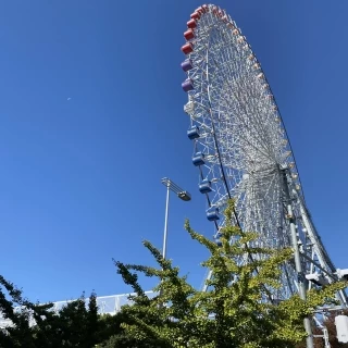 玄関からの景色