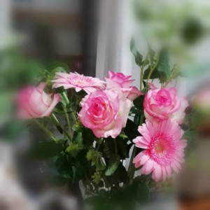 両親装花。ピンク。|573280さんのプリマディーバ（営業終了）の写真(1117651)