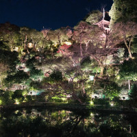 庭で雲海が見られます。