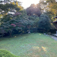 鶴翔閣披露宴会場からのお庭の眺めです。少し色づいていました。