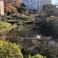 庭園