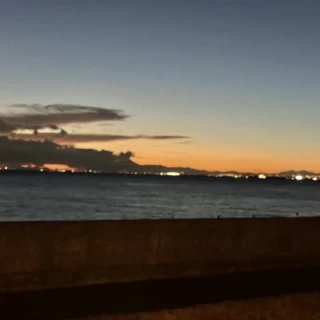 会場から見た外の風景