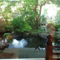 和風の会場は片面ガラス張りで、日本庭園が見えるつくり。