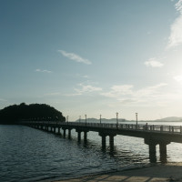 竹島が見えます