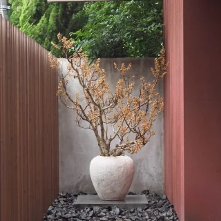 緊張を落ち着かせてくれるENTRANCE