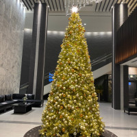 ロビーに大きなクリスマスツリー！