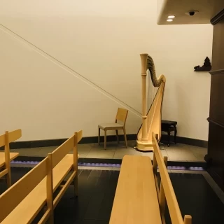 ハープの生演奏