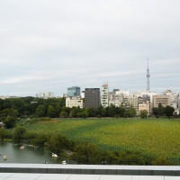 館内からの眺めです。