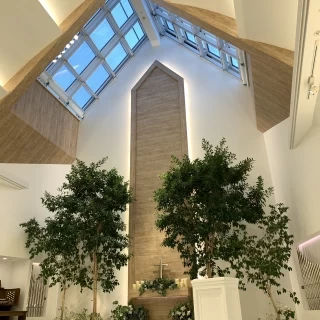 天井が高く、光が差し込むことでとても明るく綺麗でした