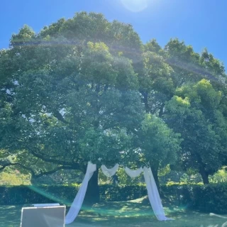 大きな木の下でちかいをしますあ
