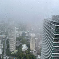 本当は目の前に東京タワーがあります。ふもとだけ見えます...