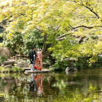 こちらもニューオータニの日本庭園で撮影しました