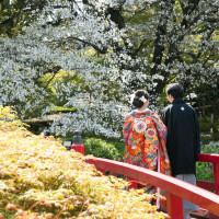 桜の季節に和装の前撮りもしました。