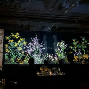 プロジェクションマッピングは、圧巻でした！ぜひやりたい演出！|576167さんのシャングリ・ラ 東京の写真(1373575)