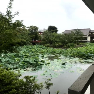 敷地内にある源氏池