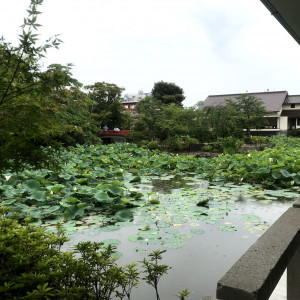敷地内にある源氏池|576229さんの鶴岡八幡宮の写真(1135027)