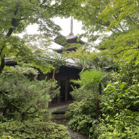 お庭からの八坂の塔