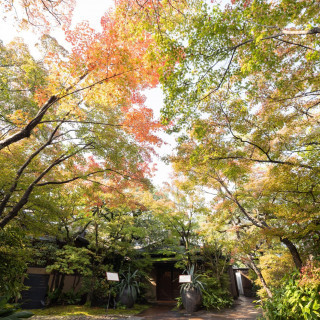 中へ入ると京都らしい庭園が広がっています。