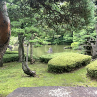 奥には日本庭園が広がっています