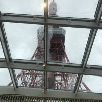 天井の窓から東京タワーが