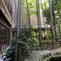 中庭