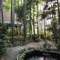 中庭